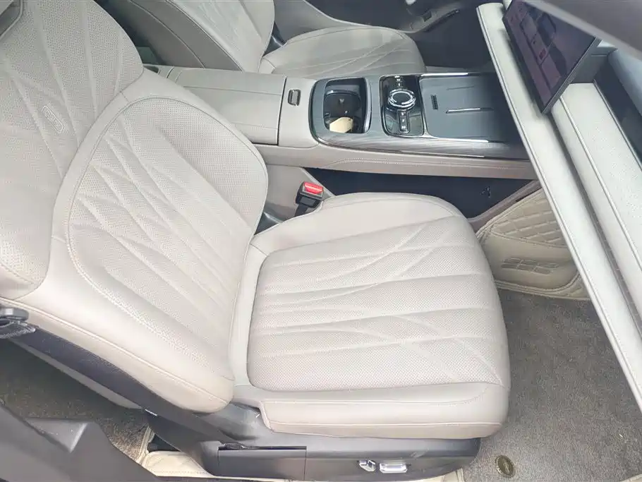 Geely Galaxy Galaxy Xingyao 8 2025 130km EM-i Premium Edition фото 8