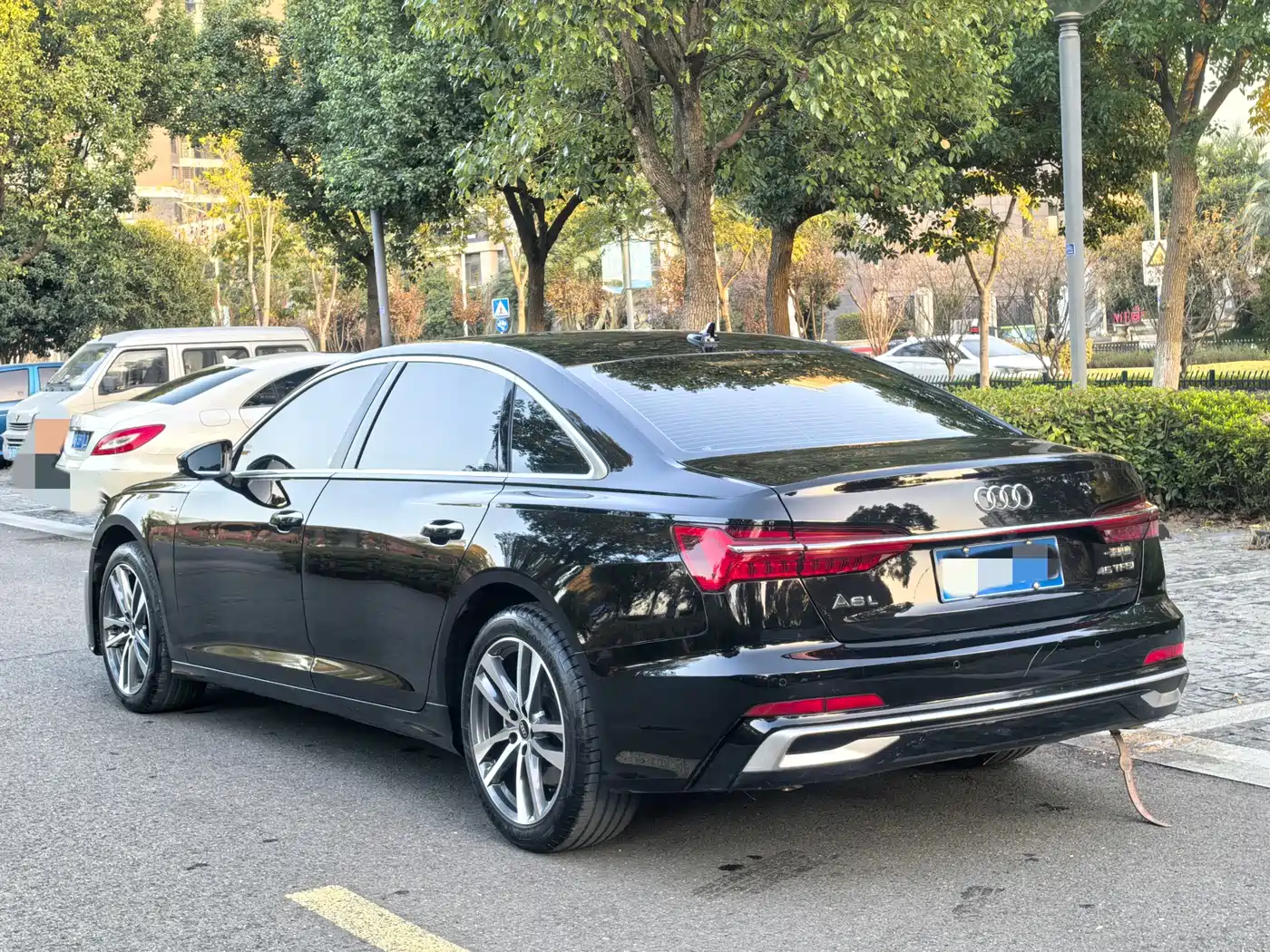 Audi A6L 2023 40 TFSI Luxury Elegance фото 6