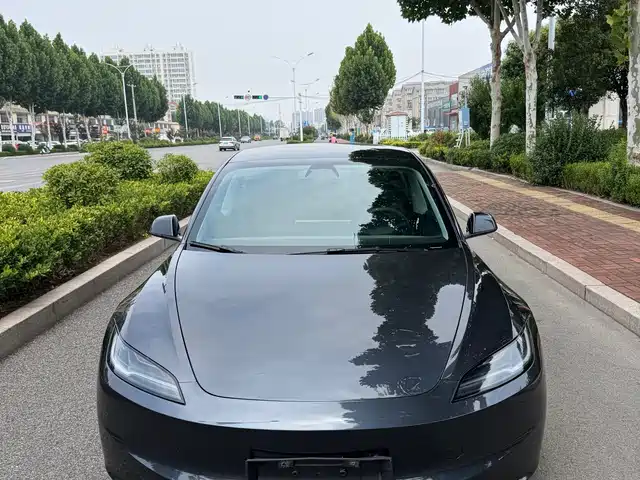 Tesla Model 3 2025