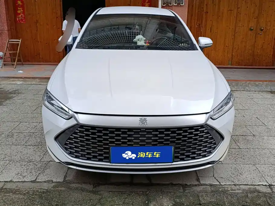 BYD Qin PLUS 2023 Champion Edition DM-i 55KM Leading фото 2