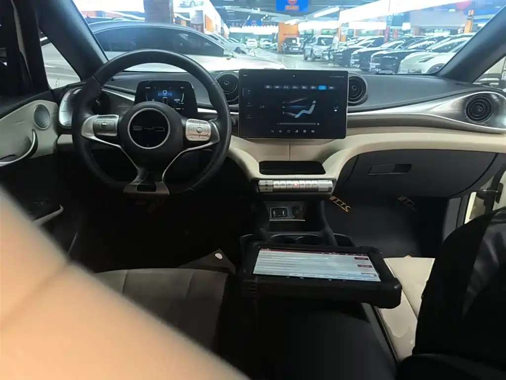 BYD Dolphin 2023 420km Fashion Edition фото 10