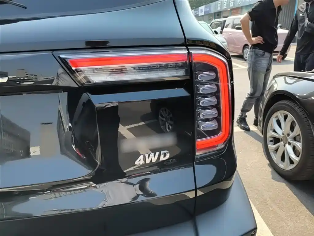 Haval Big Dog 2022 2.0T DCT 4WD Chinese Rural Dog Hunting Edition фото 8