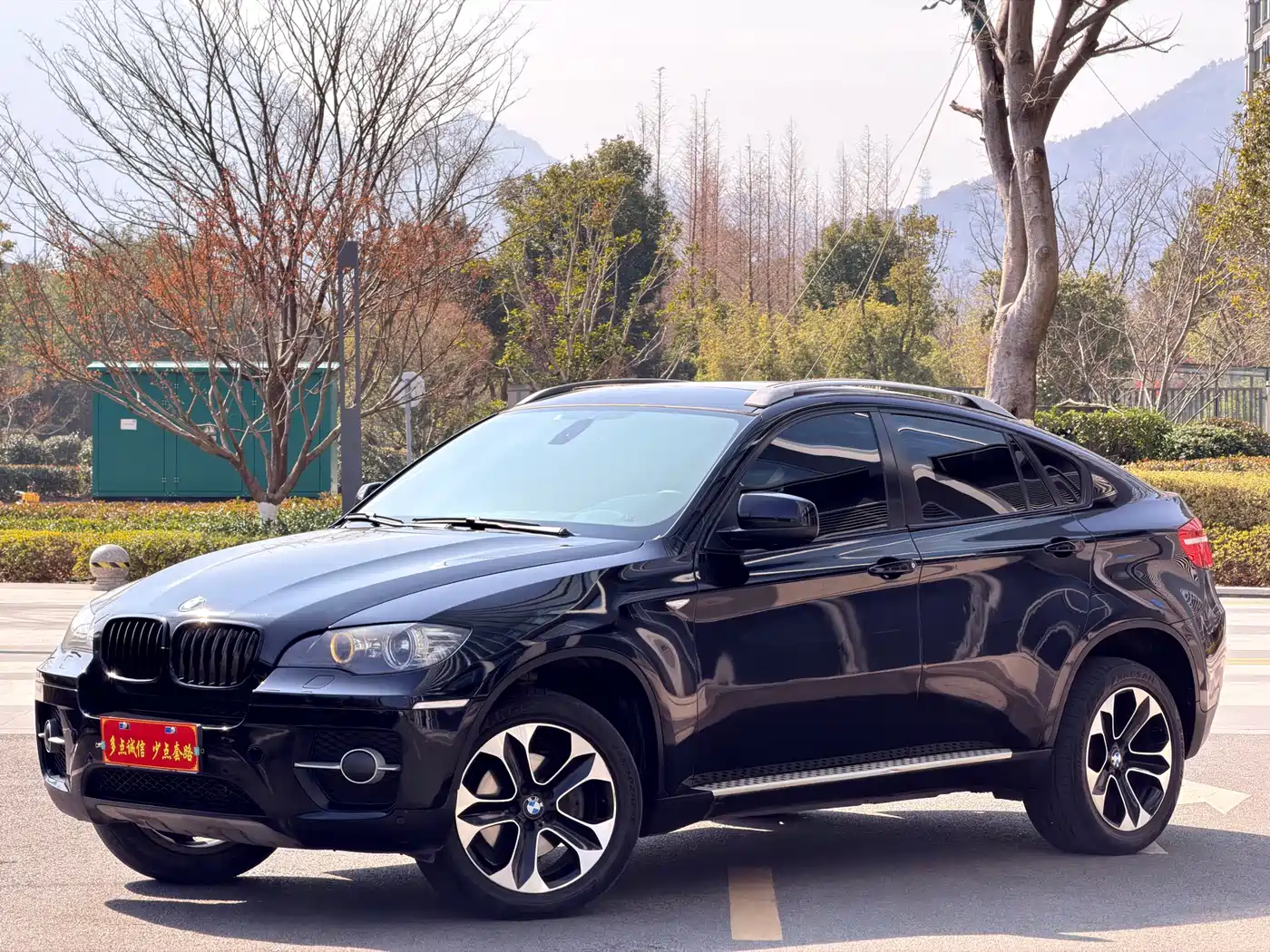 BMW X6 2012 xDrive35i