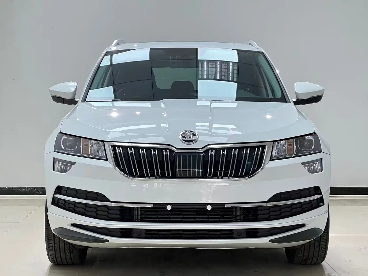 Škoda Karoq 2023 TSI280 Luxury Edition фото 2