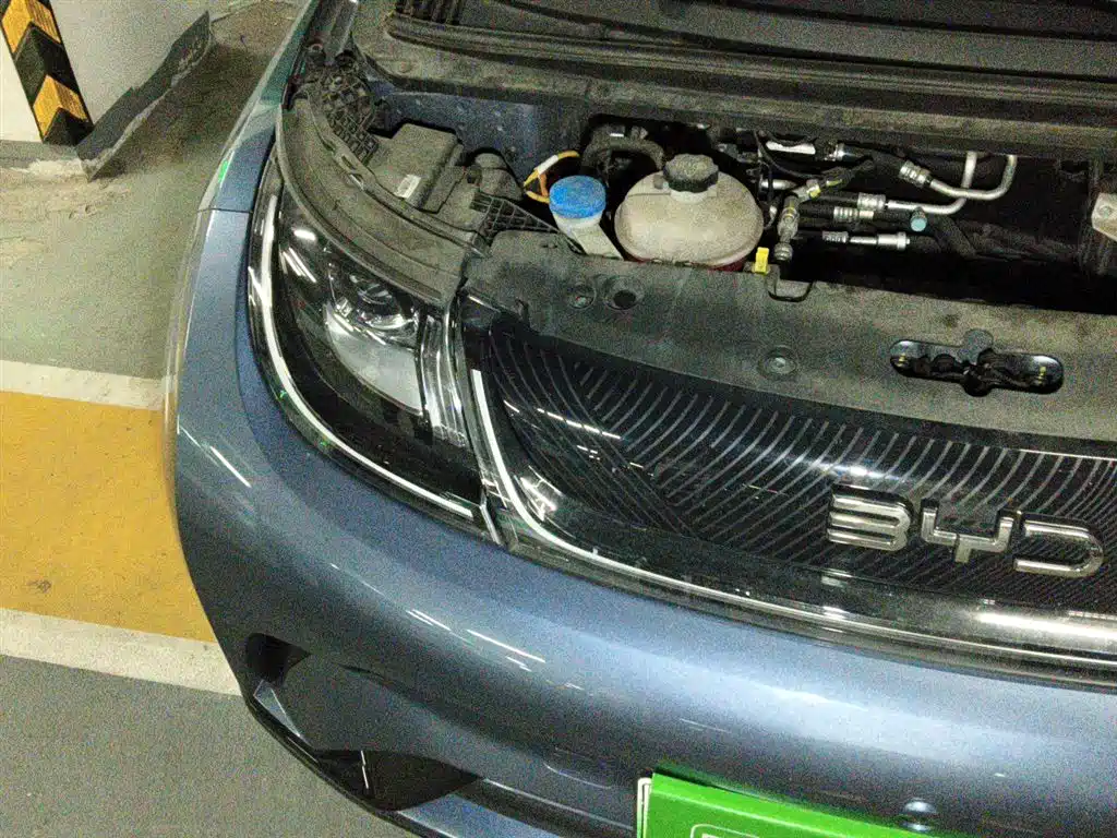 BYD Dolphin 2025 420km Fashion Edition фото 21