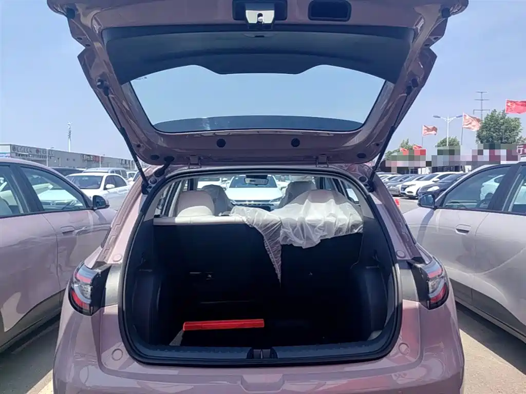 Geely Galaxy Starry Wish 2026 Edition 310km Youth Version фото 19