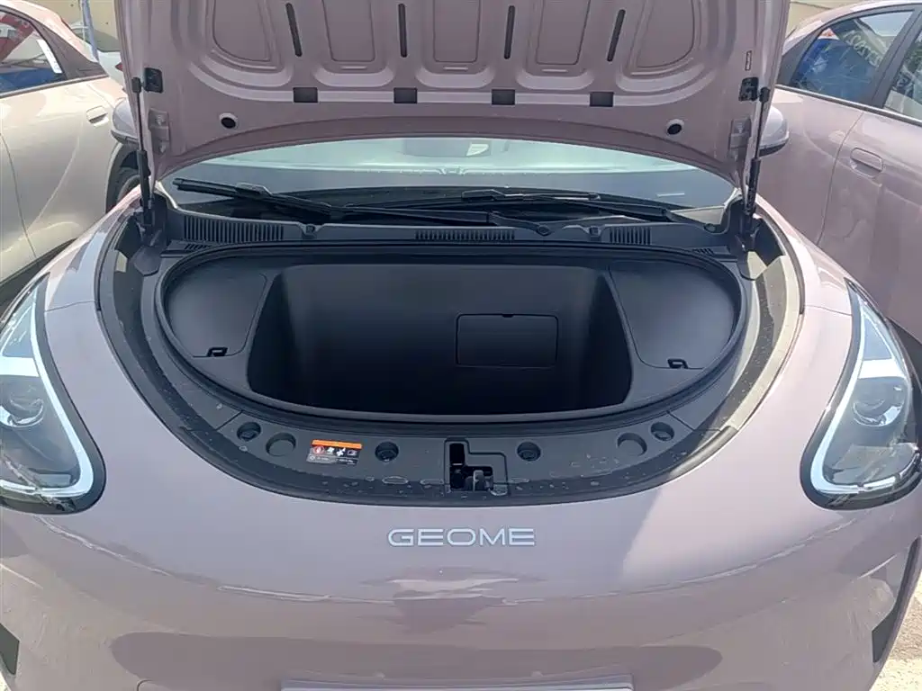 Geely Galaxy Starry Wish 2026 Edition 310km Youth Version фото 20