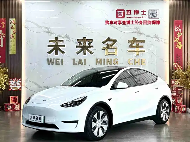 Tesla Model Y Увеличенный запас хода, полный привод, 3D7