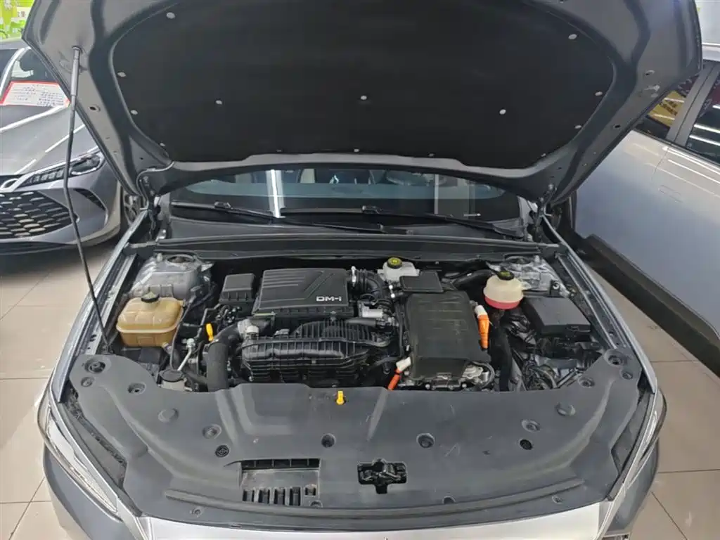 BYD Qin PLUS 2021 DM-i 55KM Flagship фото 20