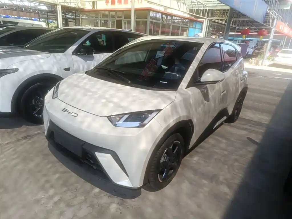 BYD Seagull 2023 Freedom Edition фото 2