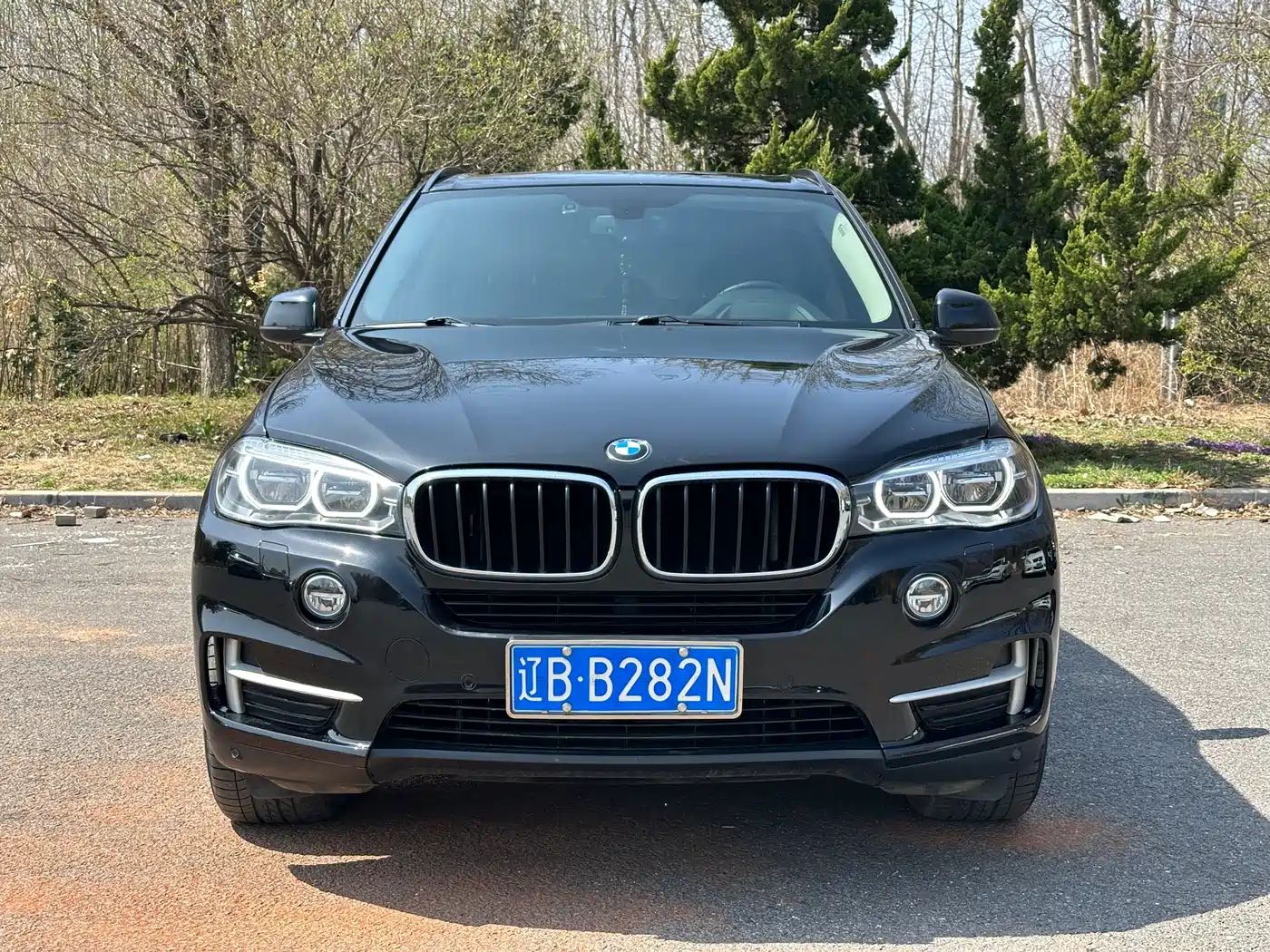 BMW X5 (Import) 2017 xDrive28i фото 2
