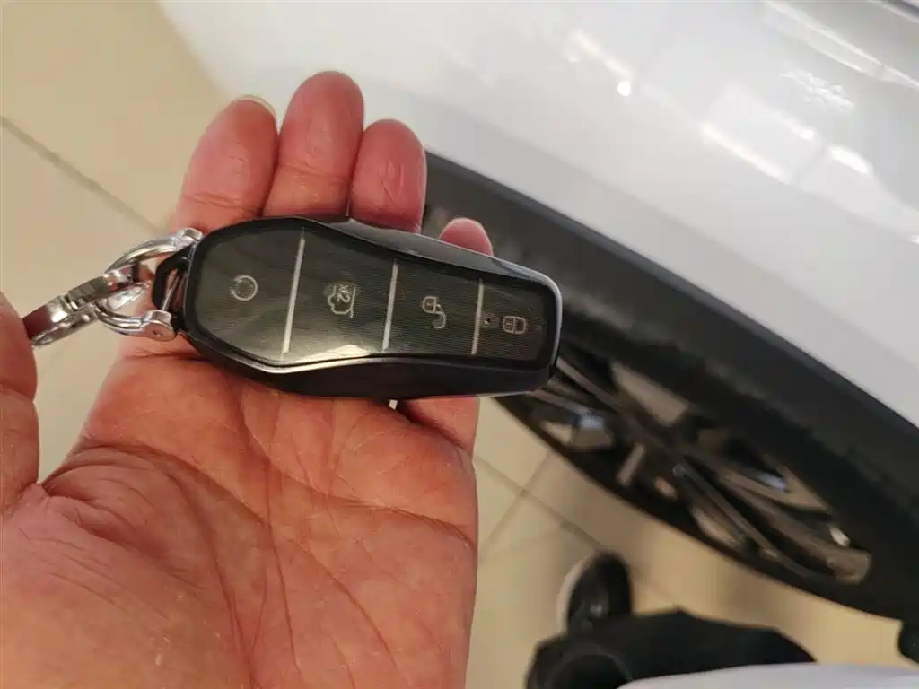 BYD Song PLUS PHEV 2025 DM-i 112KM Premium фото 9