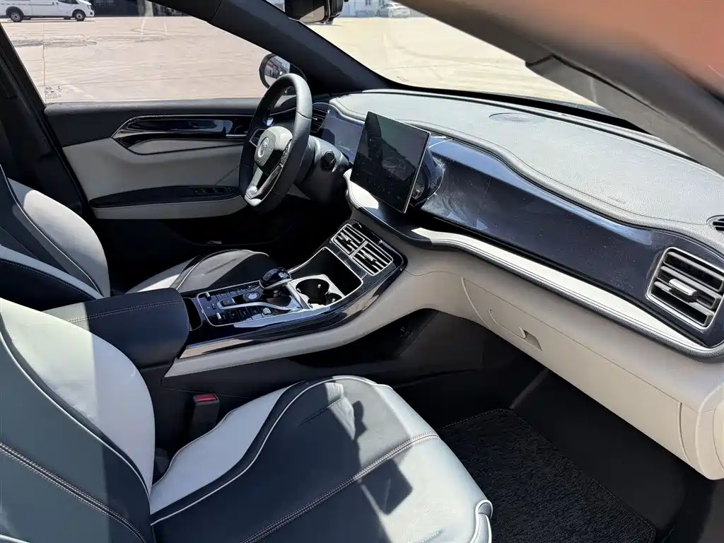 BYD Qin PLUS 2021 DM-i 55KM Flagship фото 16