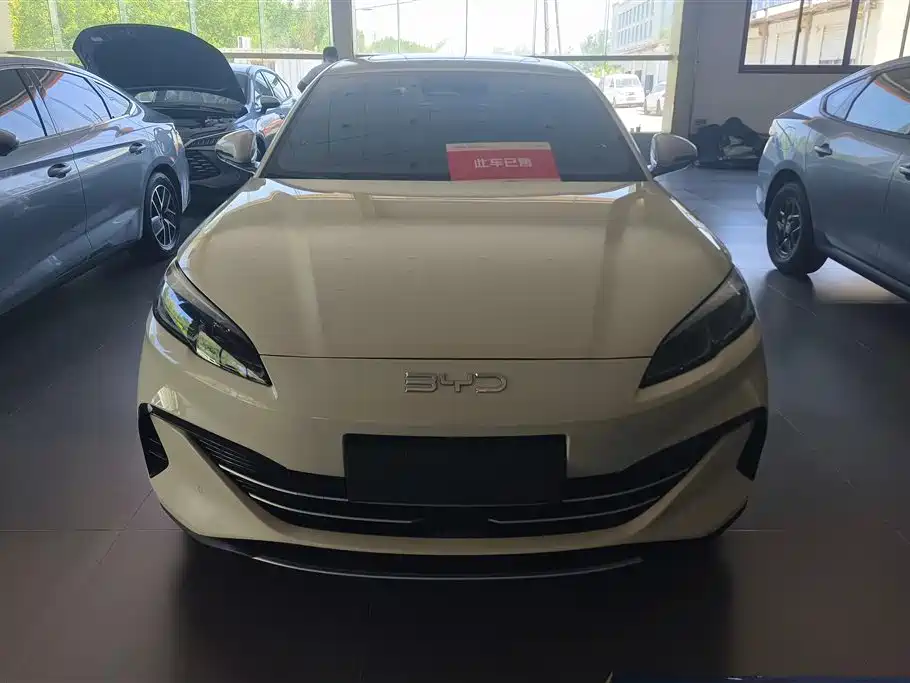 BYD Seal 06 New Energy 2024 DM-i 120KM Premium фото 2