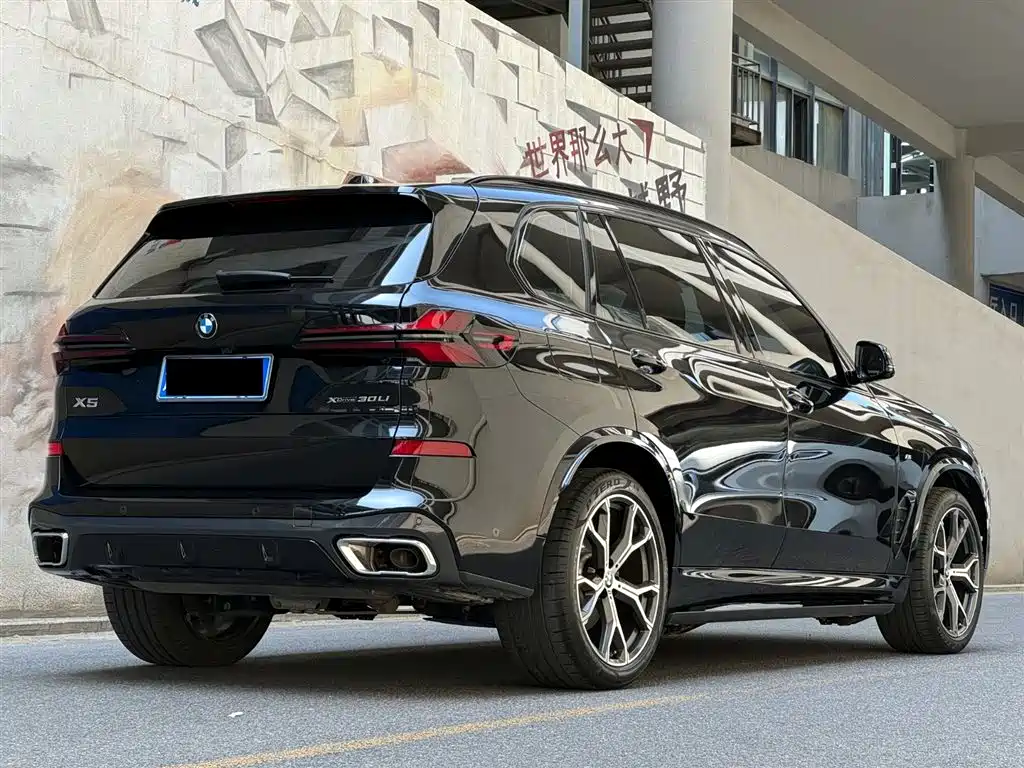 BMW X5 2023 xDrive 30Li Premium M Sport Black Night Package фото 5