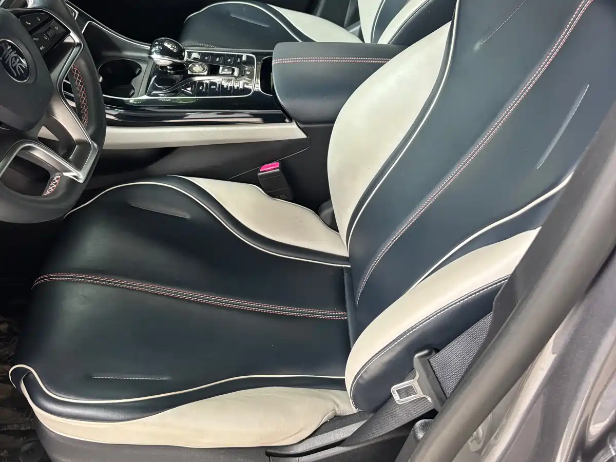 BYD Qin PLUS 2021 EV 500KM Luxury Model фото 4