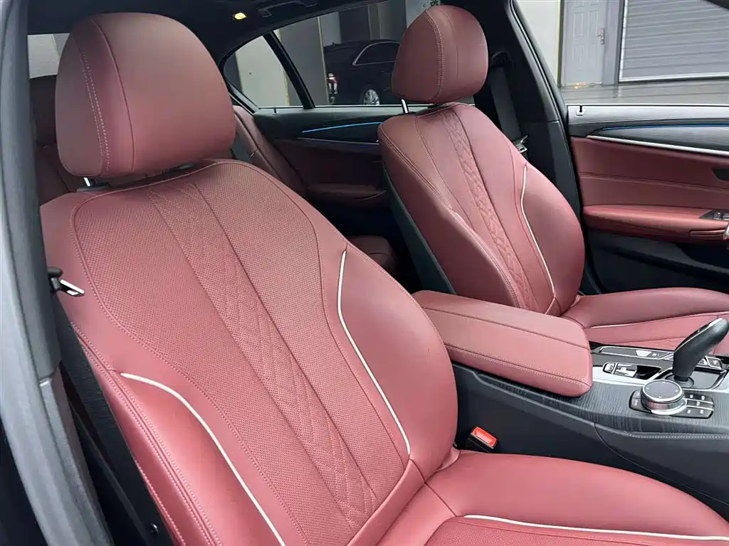 BMW 5 SERIES NEW ENERGY