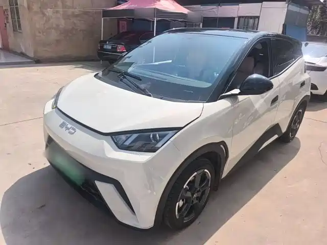 BYD Seagull 2024 Glory Edition 305km Freedom Edition