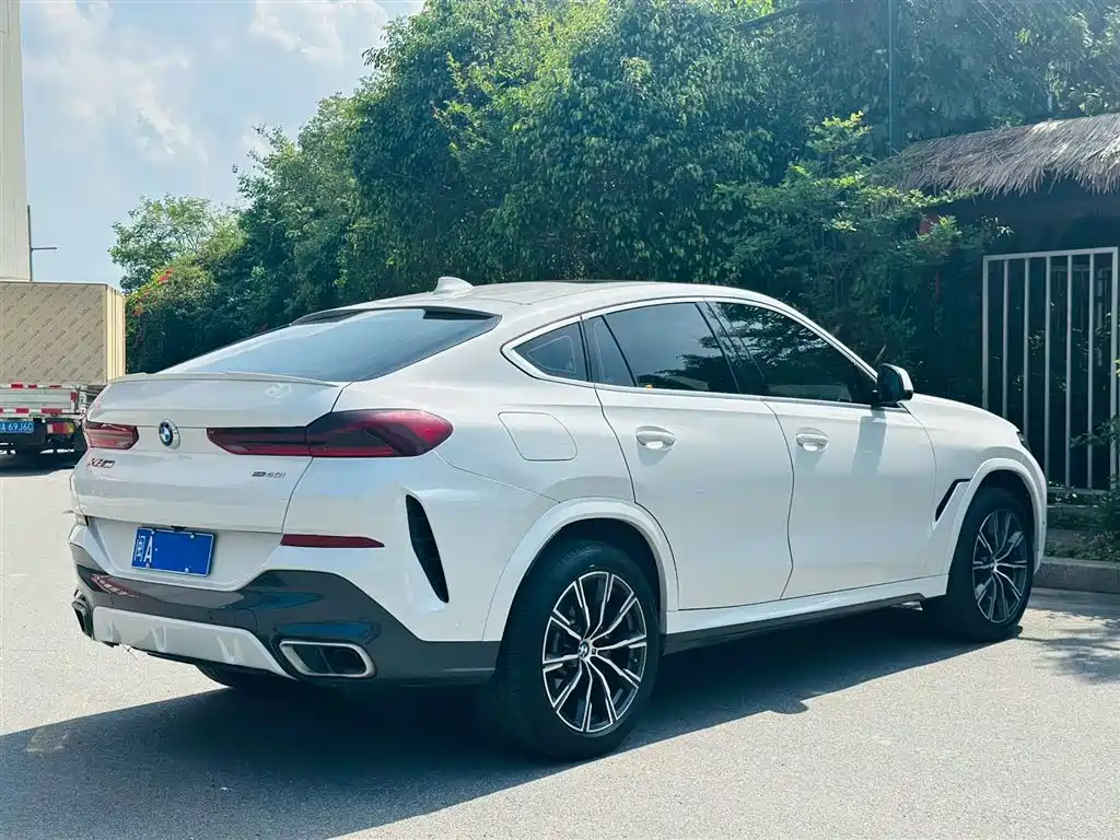 BMW X6