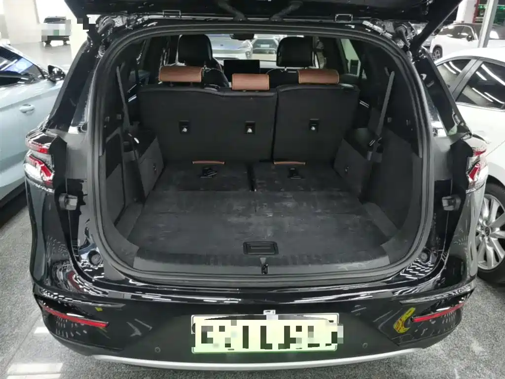 BYD Tang New Energy 2021 DM-i 112KM Honor фото 19