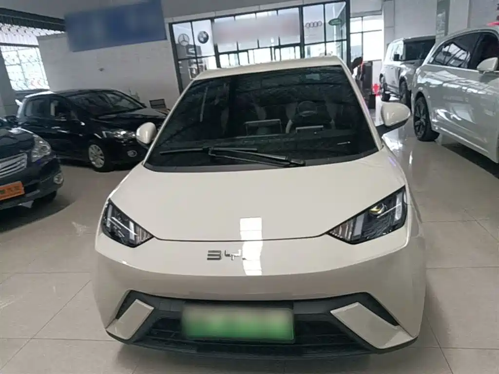 BYD Seagull 2024 Glory Edition 305km Vitality Edition фото 3