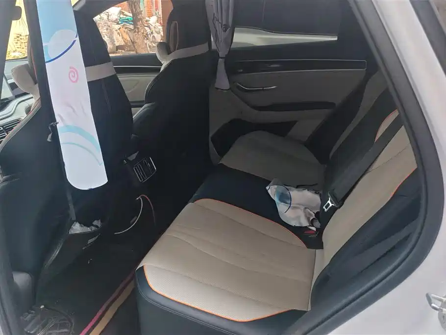 BYD Song PLUS PHEV 2021 DM-i 110KM Flagship PLUS фото 11