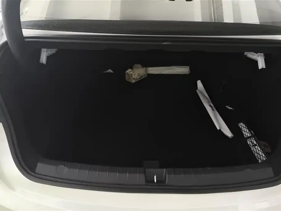 BYD Destroyer 05 2024 Glory Edition DM-i 55KM Luxury фото 4