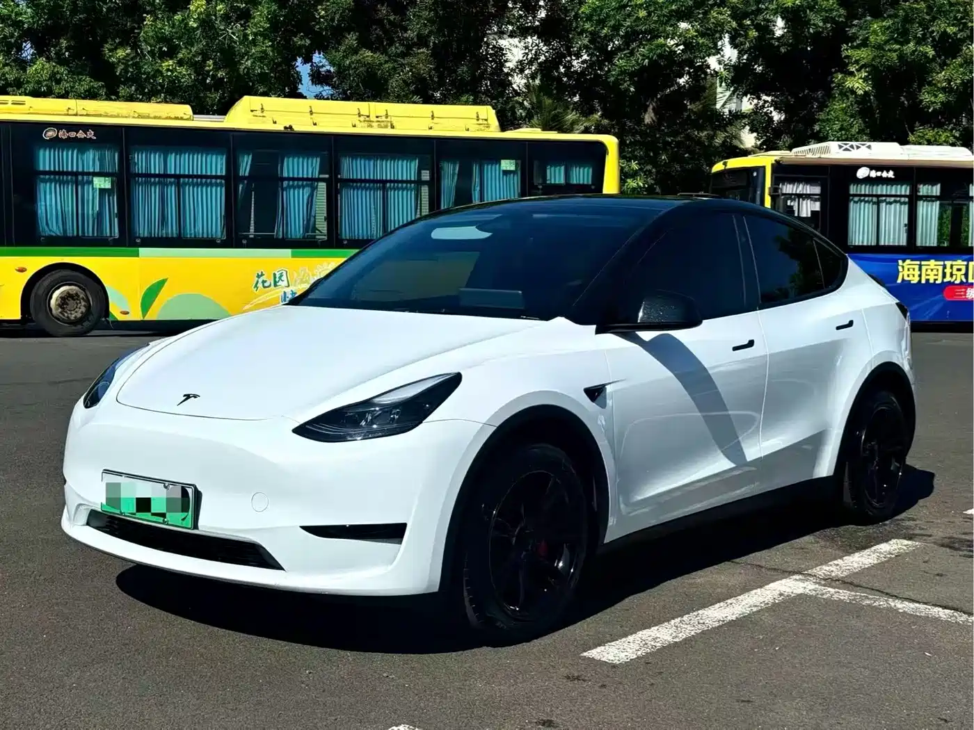 Tesla Model Y 2024 Rear-Wheel Drive Version