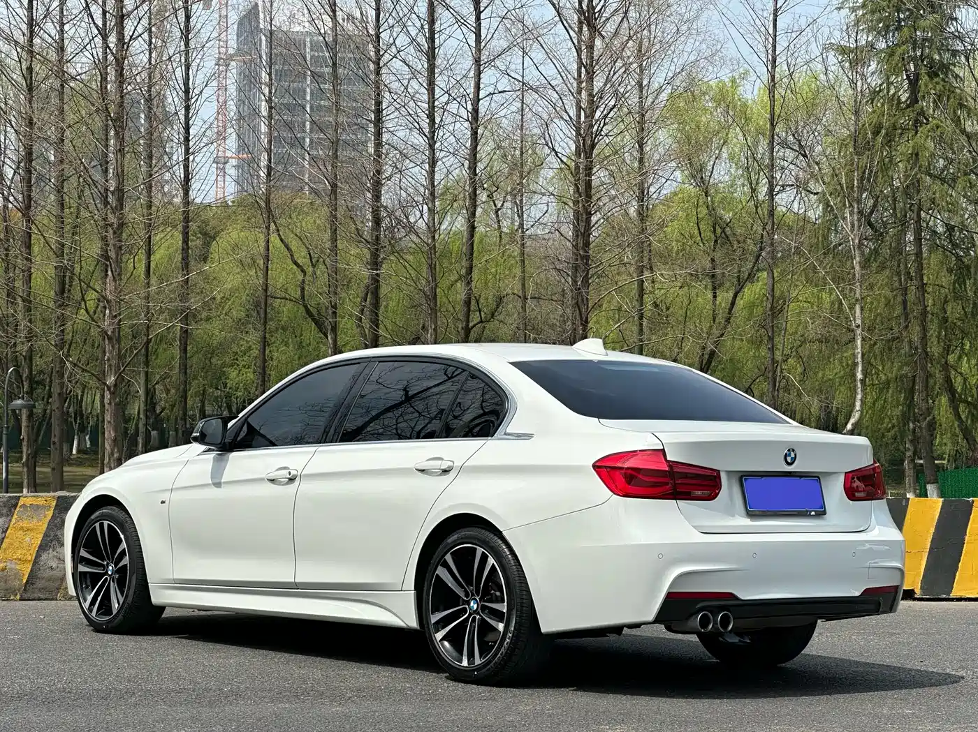 BMW 3 Series 2019 320Li M Luxury Package фото 5