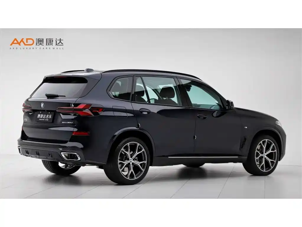 BMW X5 2023 xDrive 30Li Premium M Sport Black Night Package фото 3