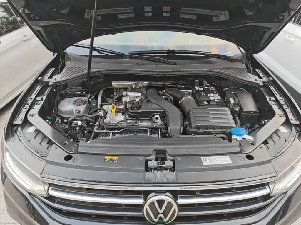 Volkswagen Tiguan L 2025 2024 Outstanding 300TSI Auto 2WD Dragon Soaring Edition