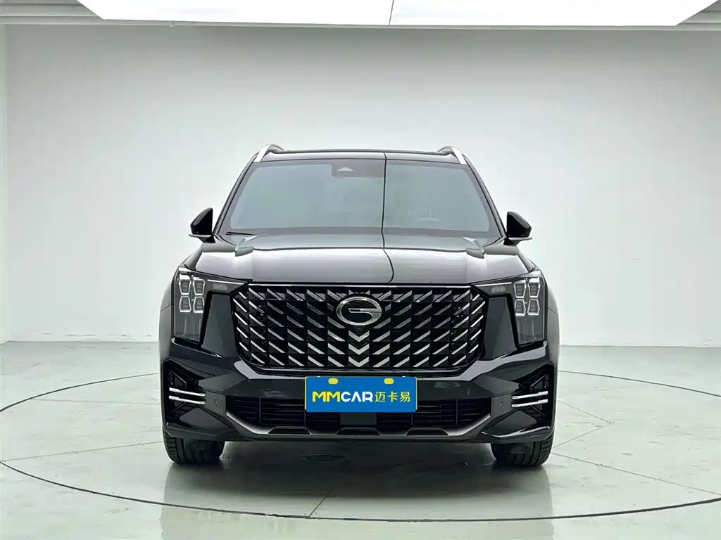 GAC Trumpchi Trumpchi GS8 2025 Pilot Series 2.0TGDI 2WD Luxury Edition 5-seater фото 2