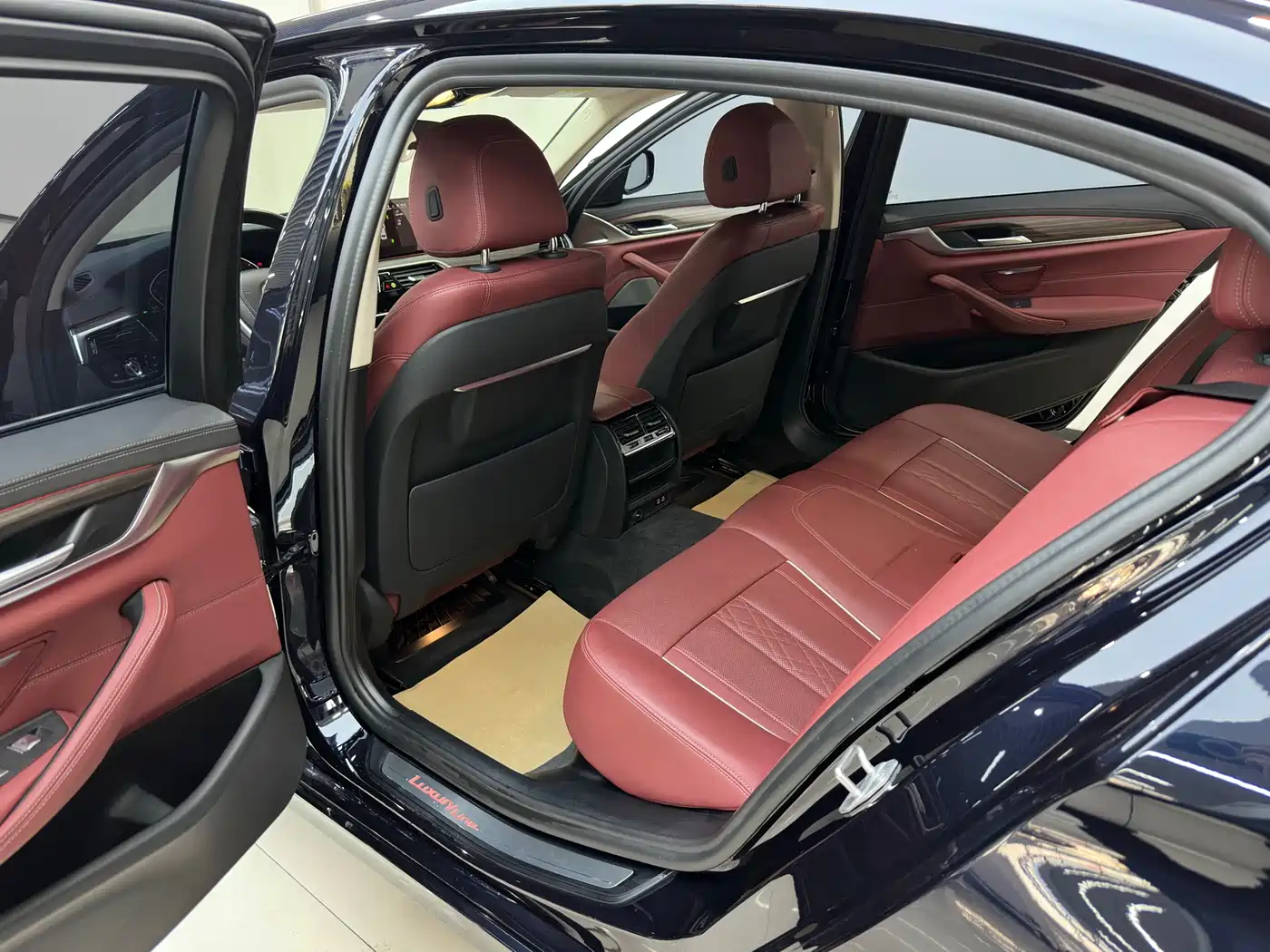 BMW 5 Series 2021 530Li Leading Luxury Package фото 11