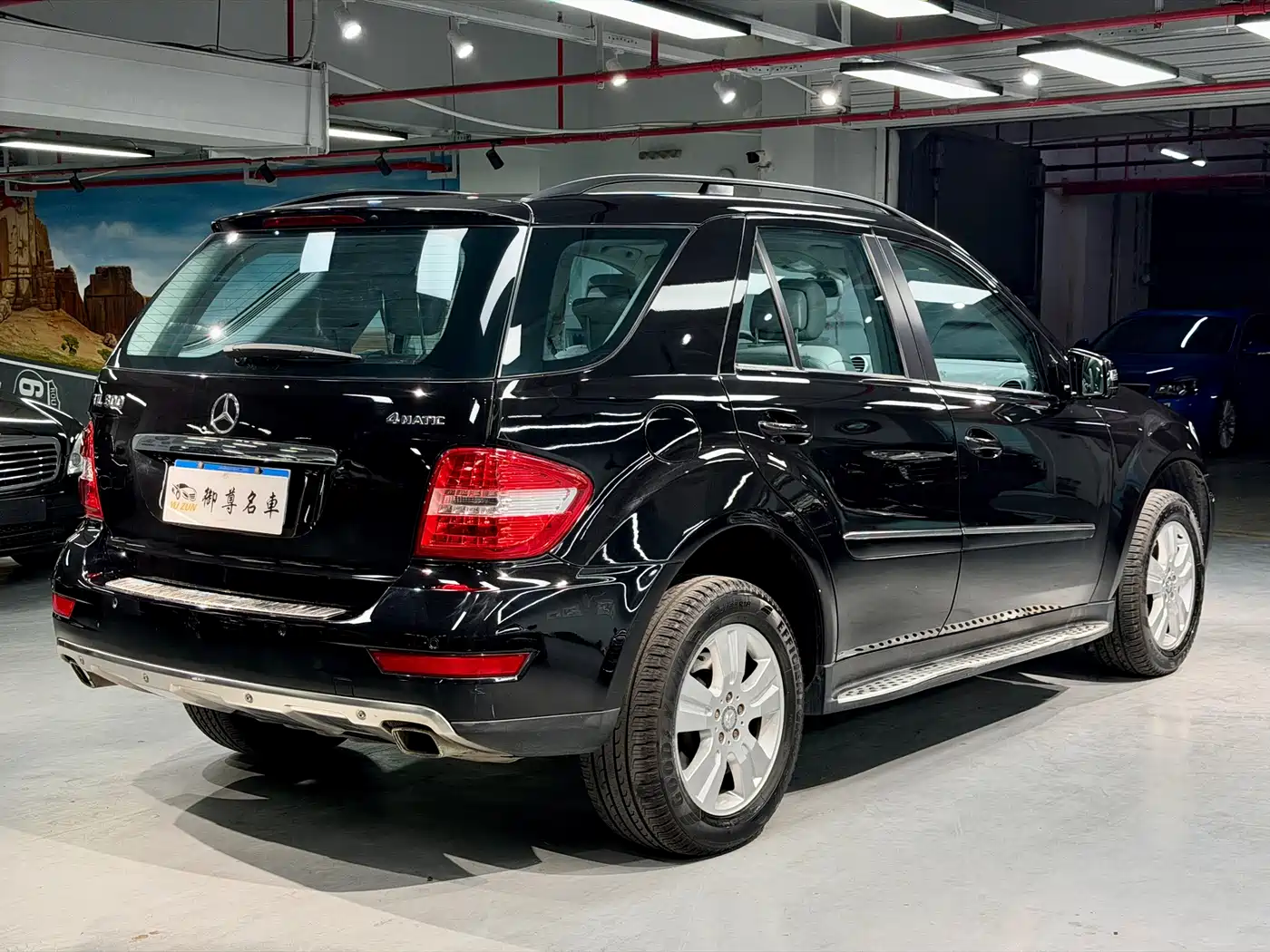 Mercedes-Benz M-Class 2010 ML 300 4MATIC фото 6
