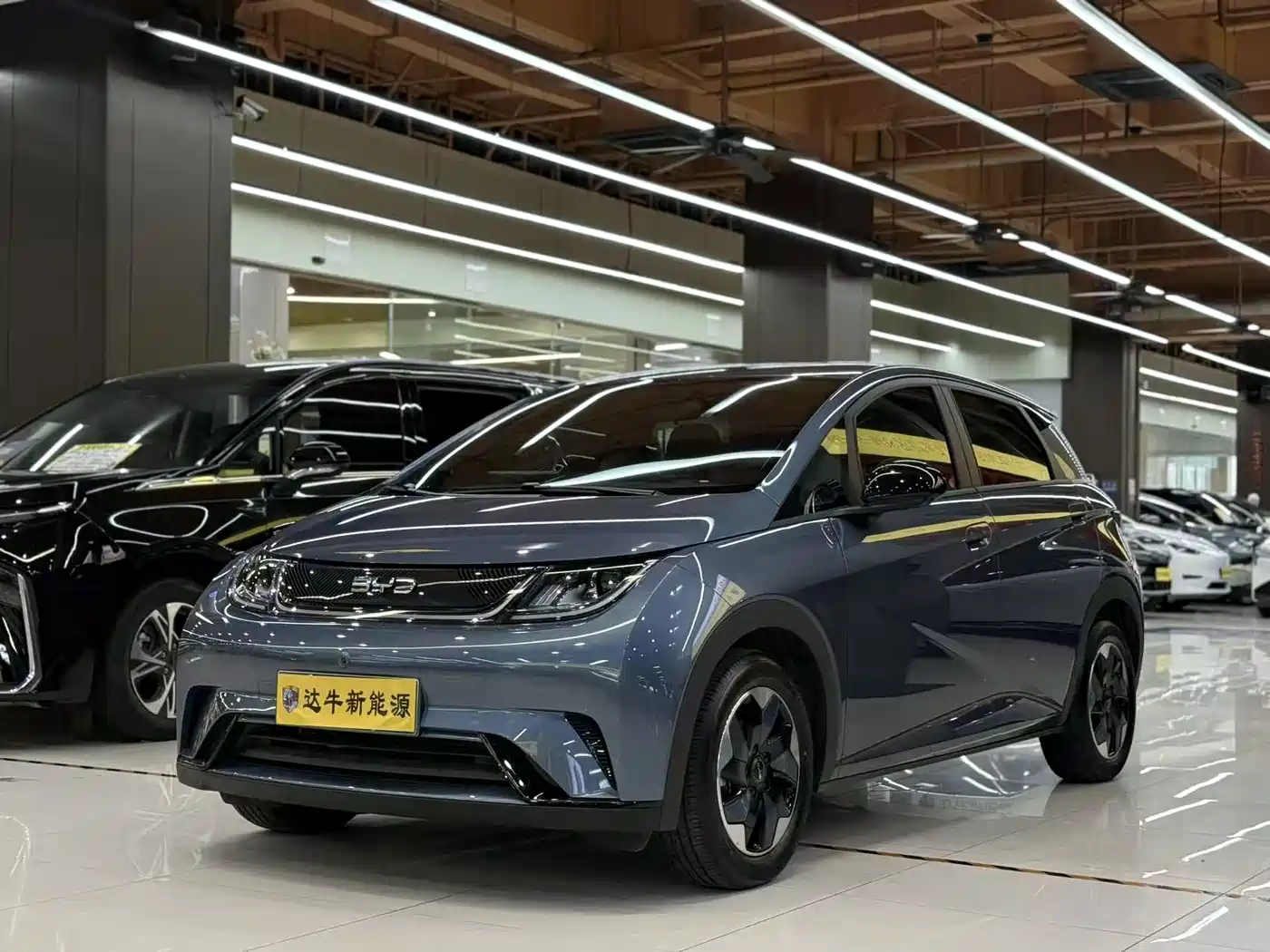 BYD Dolphin 2026 2025 420km Freedom Edition