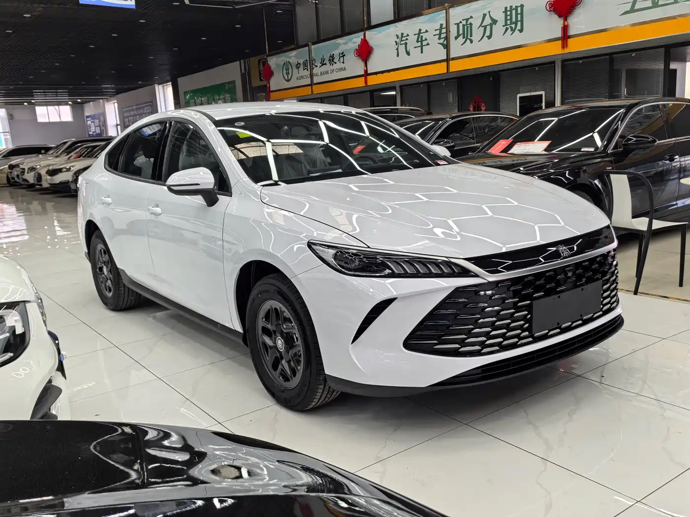 BYD Qin PLUS 2026 DM-i 128KM Progressive фото 2