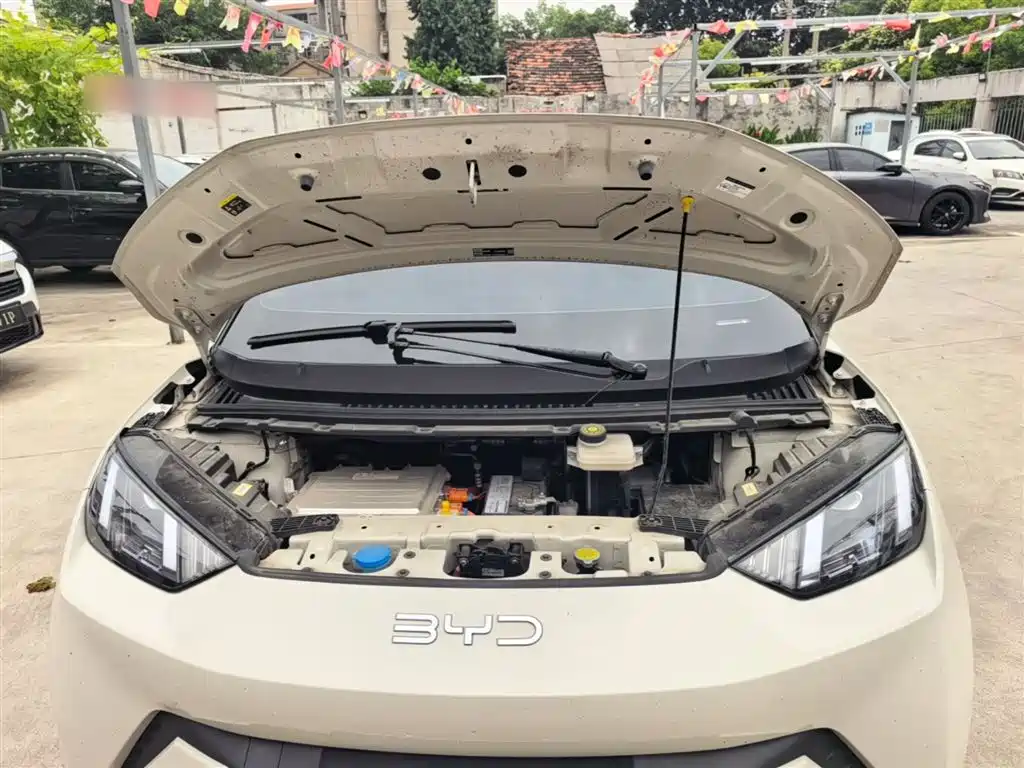 BYD Seagull 2024 Glory Edition 405km Soaring Edition фото 20