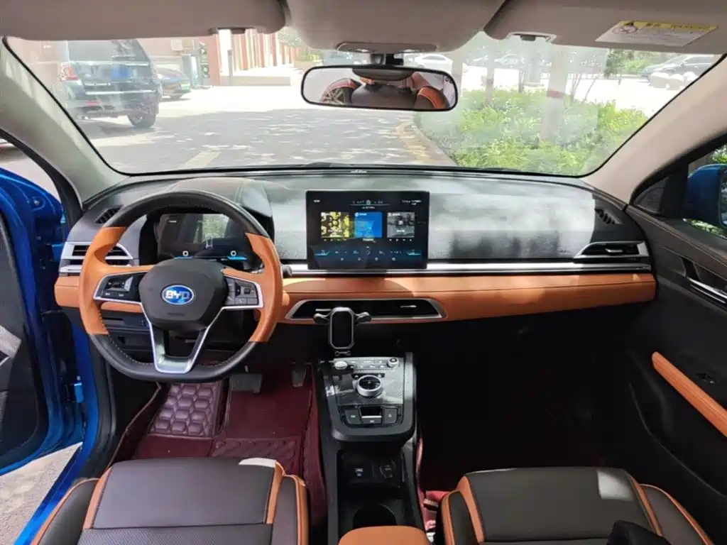 BYD e2 2021 Luxury Edition фото 10