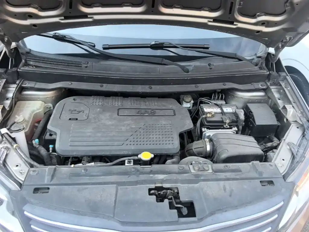 Dongfeng Fengxing Fengxing S500 2016 2016 1.5L Manual Luxury II