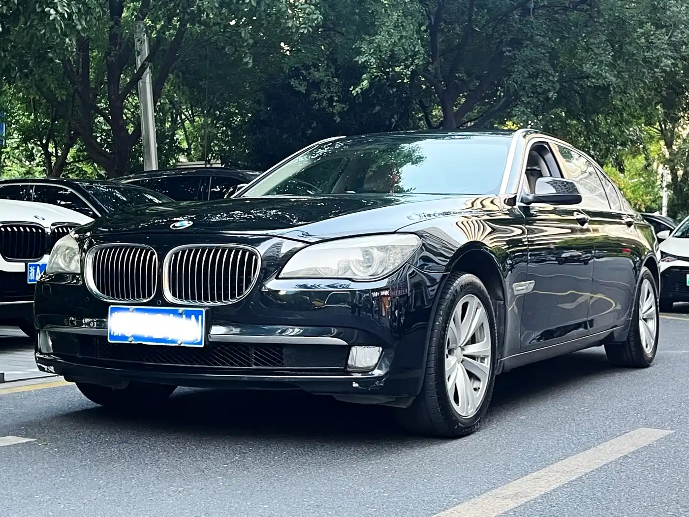 BMW 7 Series 2009 730Li Leading