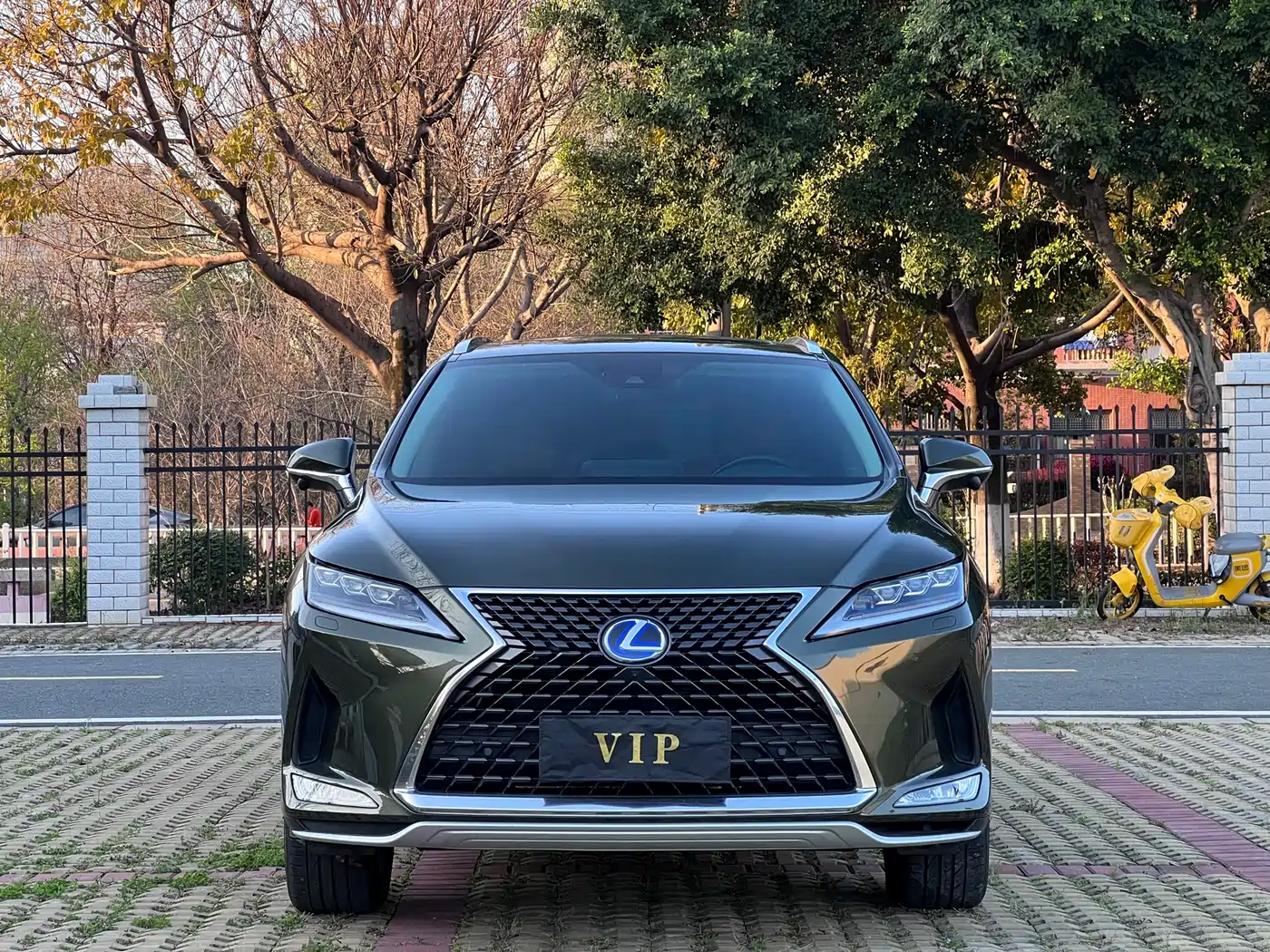 Фото 2 - Lexus RX