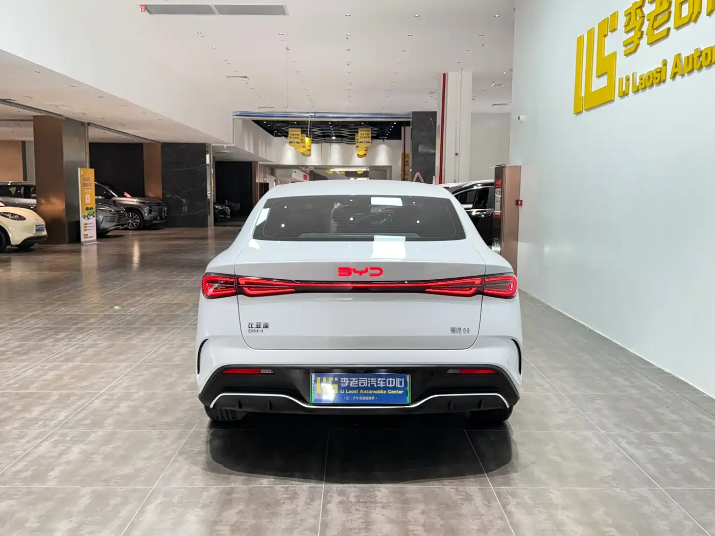 BYD Seal 06 New Energy 2024 DM-i 80KM Luxury фото 6