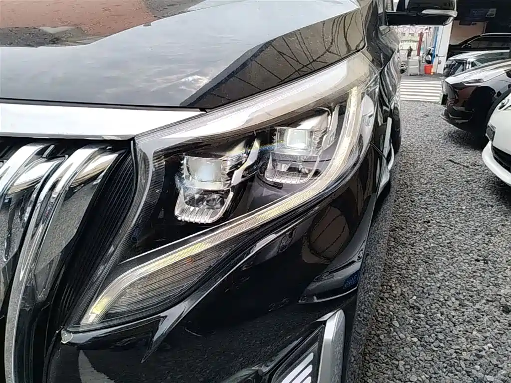 GAC Trumpchi Trumpchi M8 2021 Leading Show Series 390T Luxury Edition фото 24
