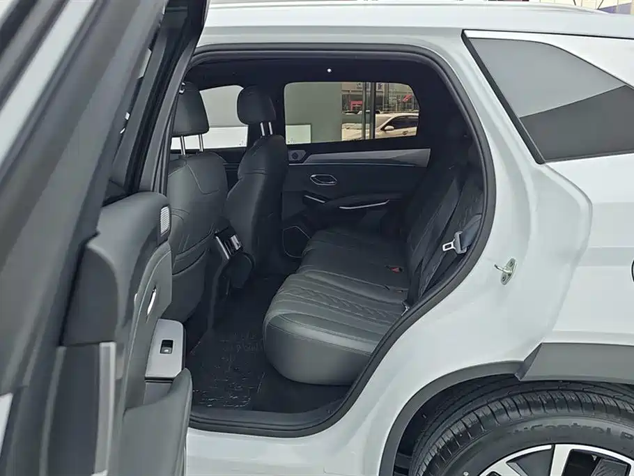 BYD Song L DM-i 2025 Smart Drive 160km Premium фото 11