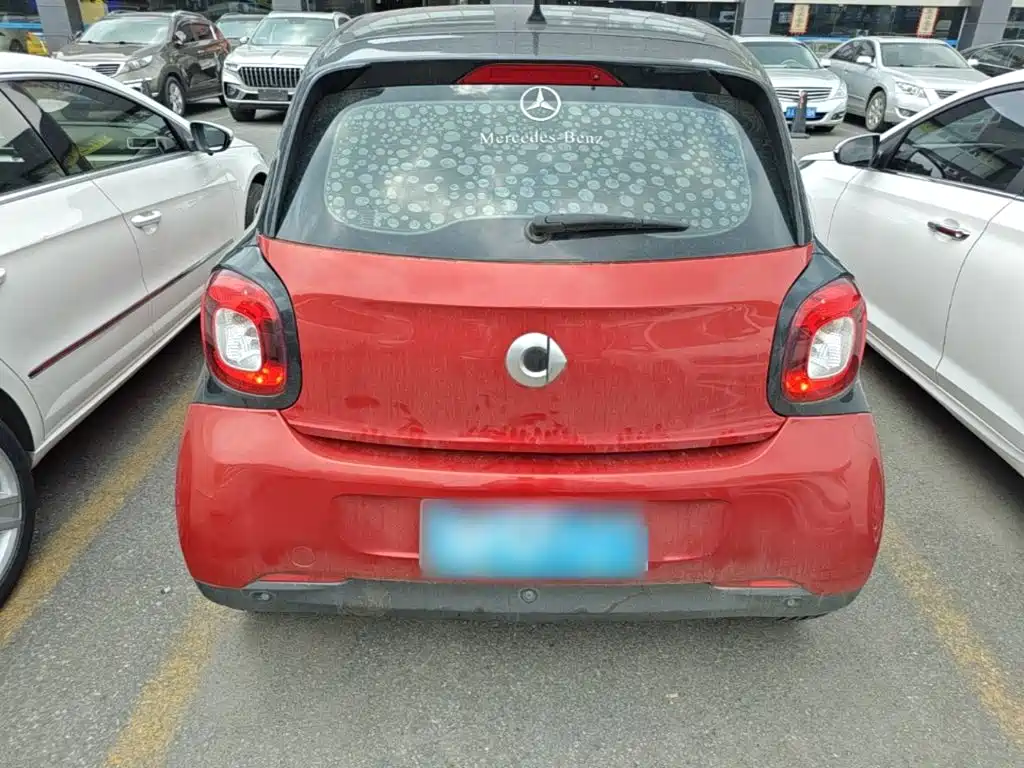 Фото 4 - smart forfour