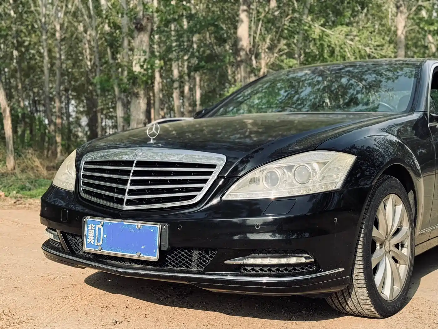 Mercedes-Benz S-Class 2010 S 300 L Premium фото 3