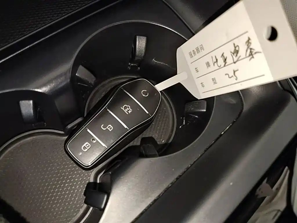 BYD Qin PLUS 2024 Glory Edition DM-i 55KM Leading фото 9
