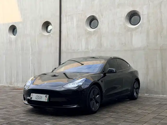 Tesla Model 3 Задний привод