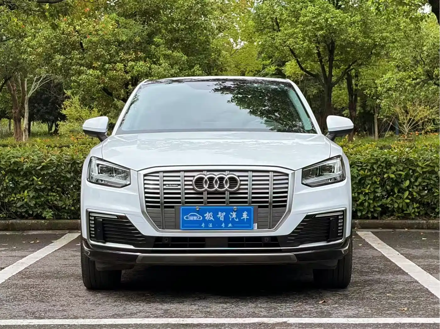 Audi Q2L e-tron 2021 2019 Q2L e-tron Pure Electric Smart Enjoyment