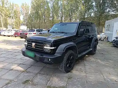 Tank 300